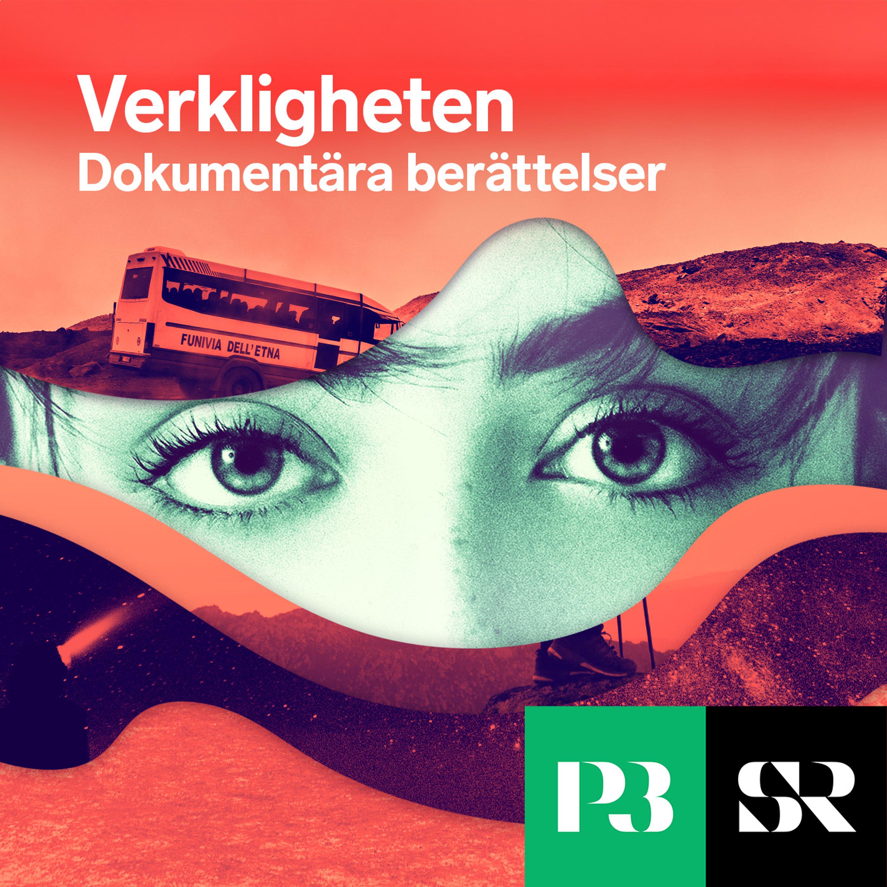 Verkligheten 单集封面