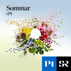 Konvolut för Sommar & Vinter i P1