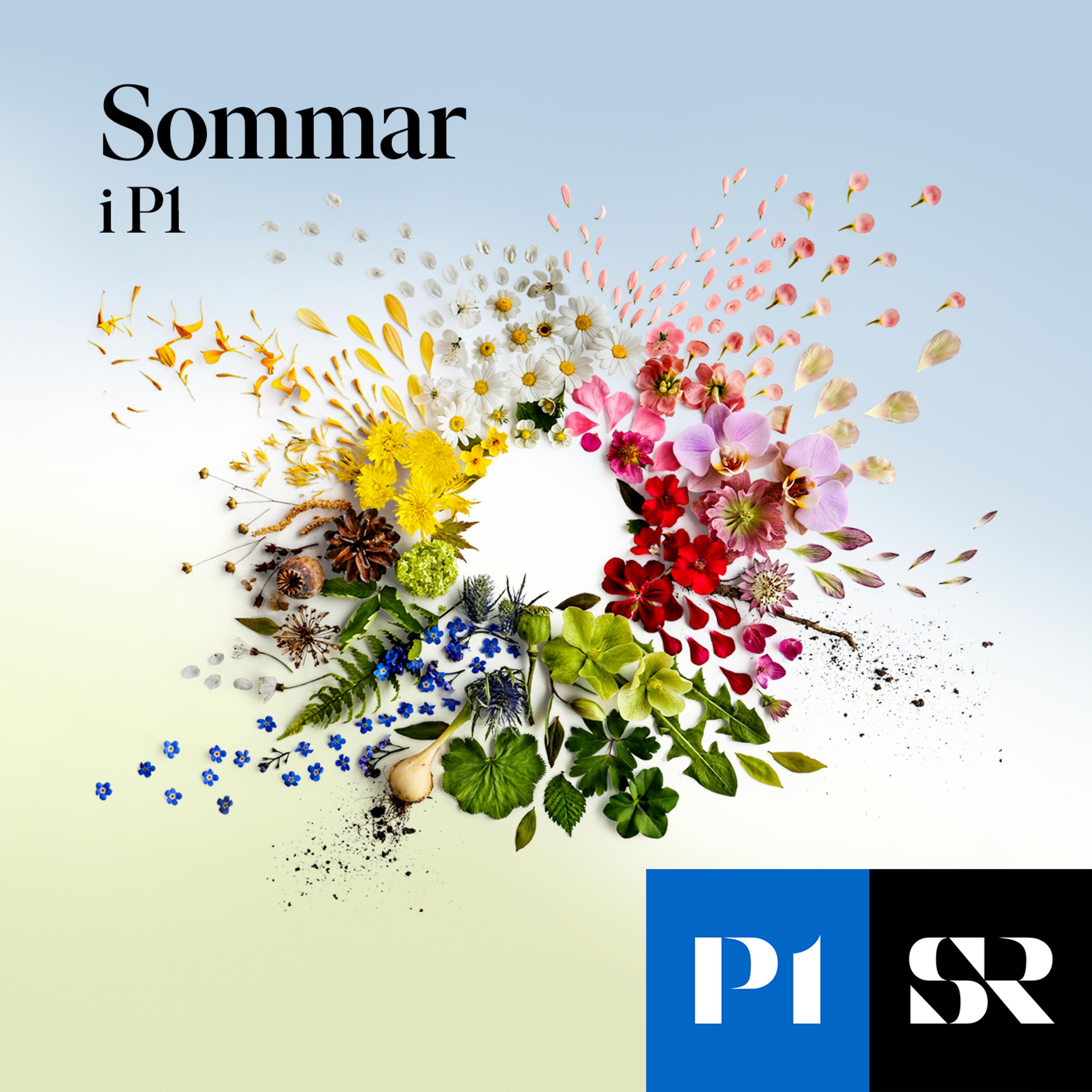 Sommar &amp; Vinter i P1