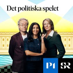 Konvolut för Det politiska spelet