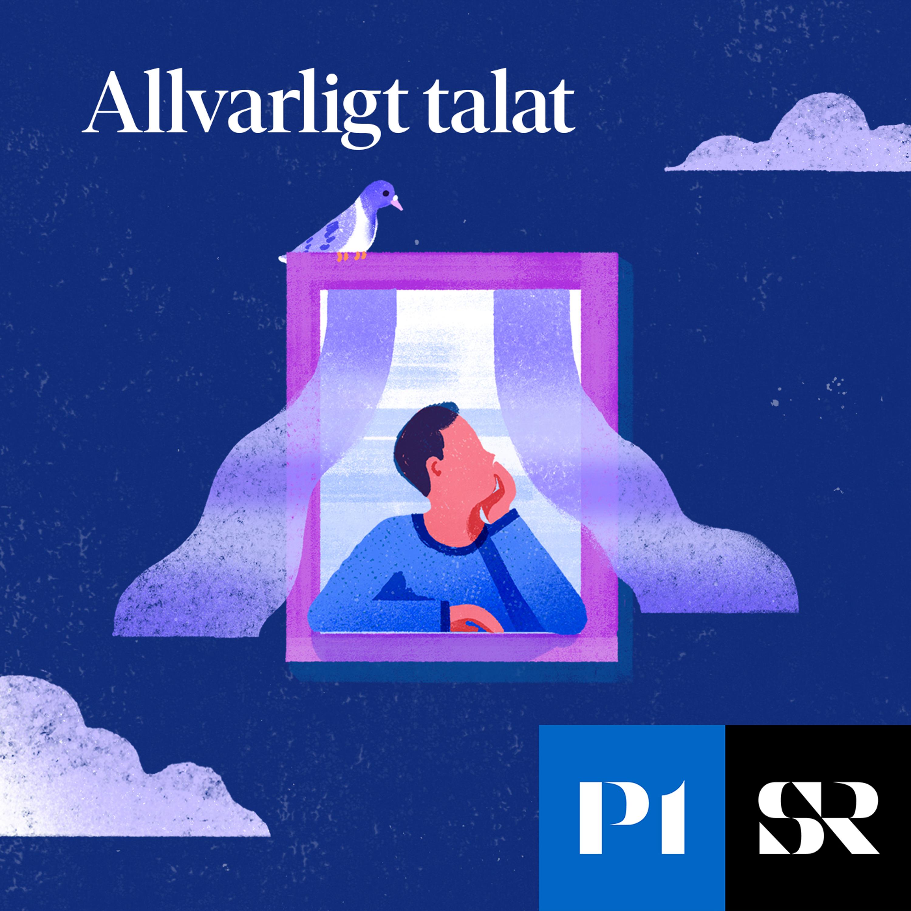 Allvarligt talat 单集封面