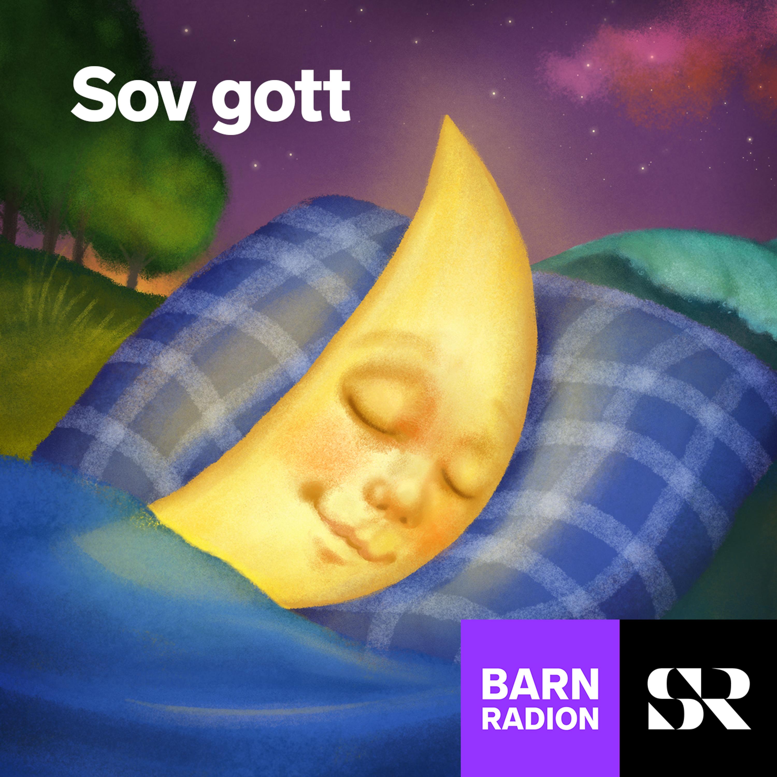 Artwork for Sov gott