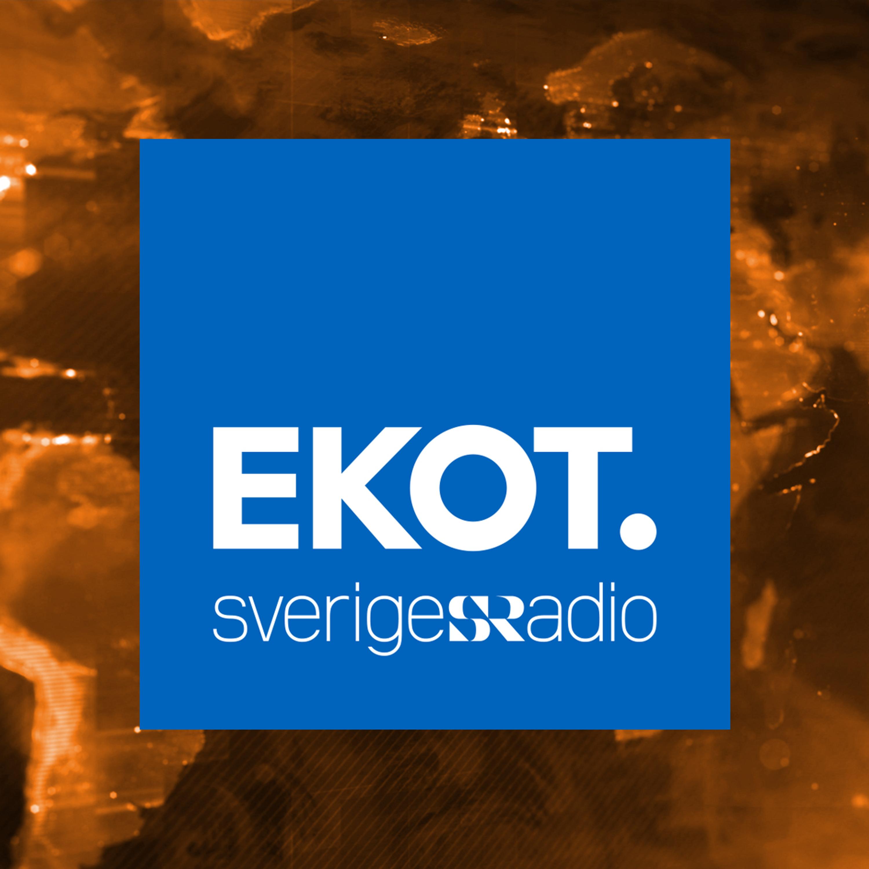 Ekot senaste nytt