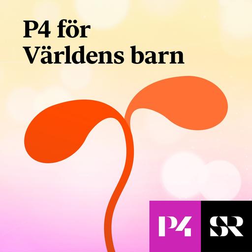 Konvolut för P4 för Världens Barn