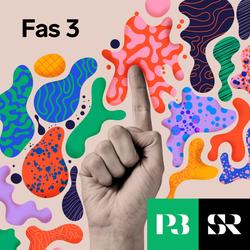 Konvolut för Fas 3