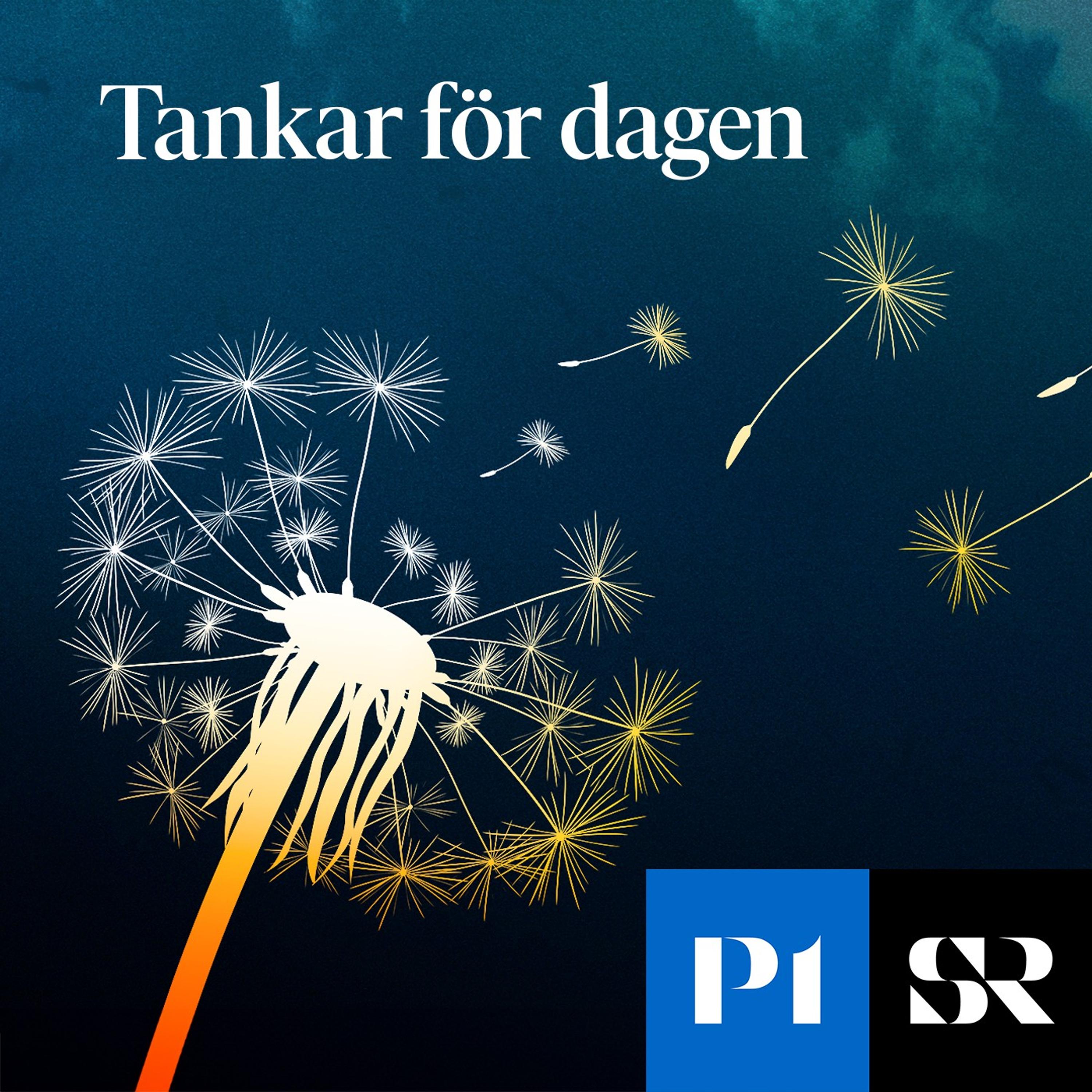 Tankar för dagen 单集封面