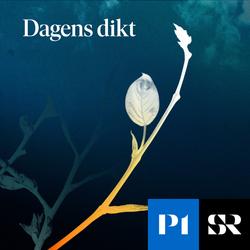 Konvolut för Dagens dikt