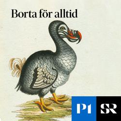 Konvolut för Borta för alltid