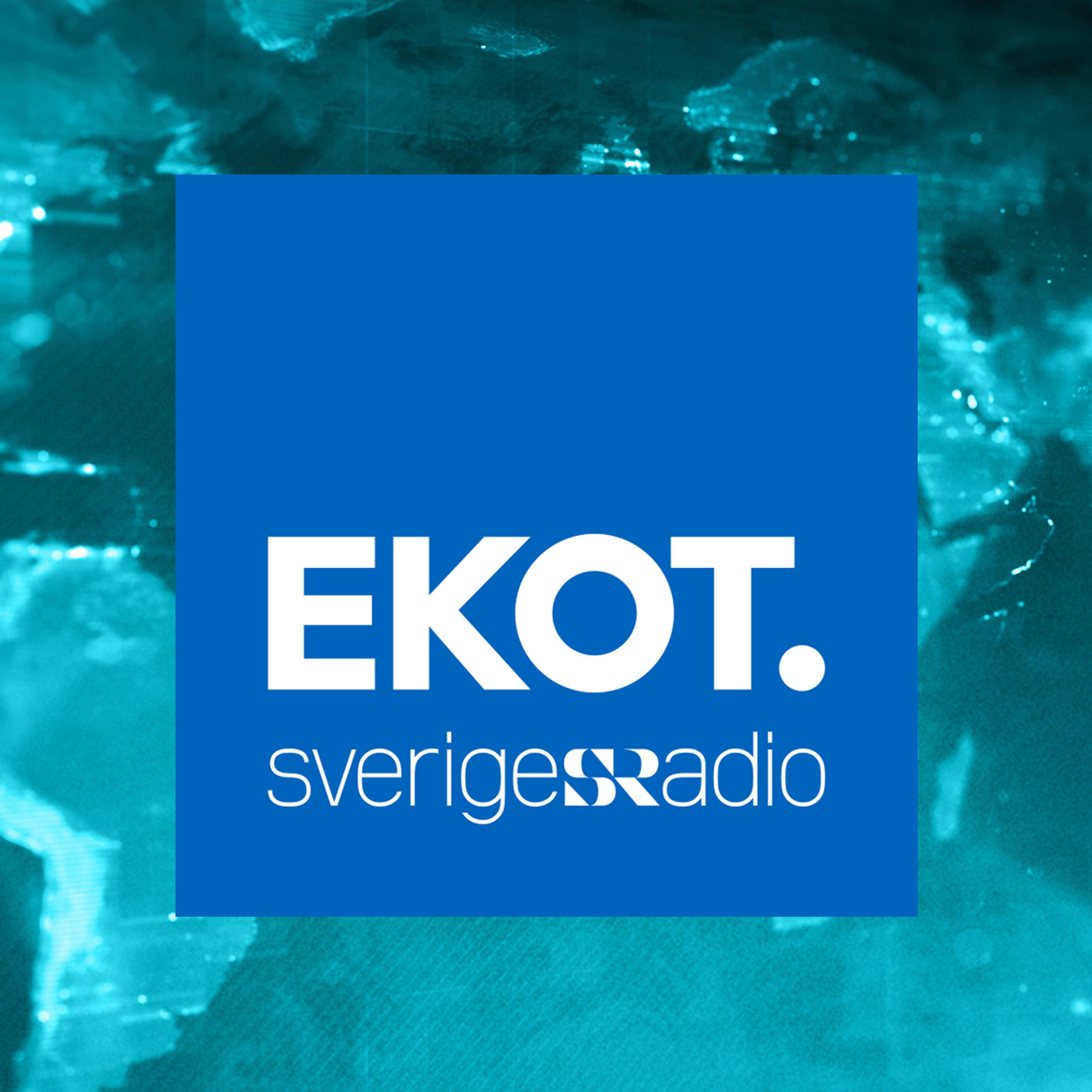 Ekot sänder direkt SD:s landsdagar episode artwork