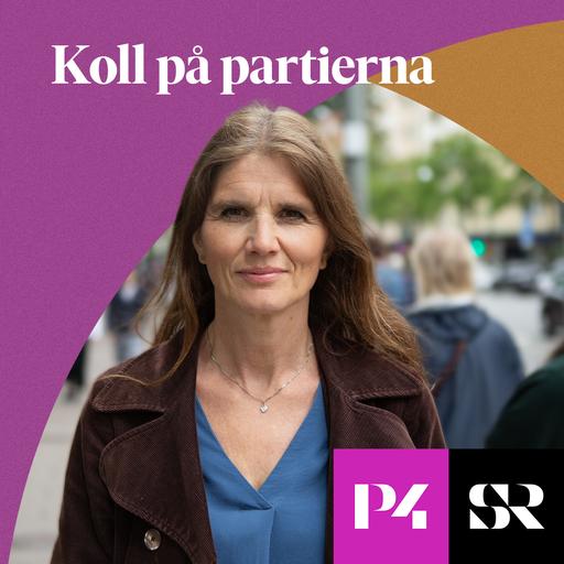 Konvolut för Koll på partierna