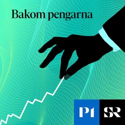 Konvolut för Bakom pengarna