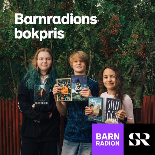 Konvolut Barnradions bokpris